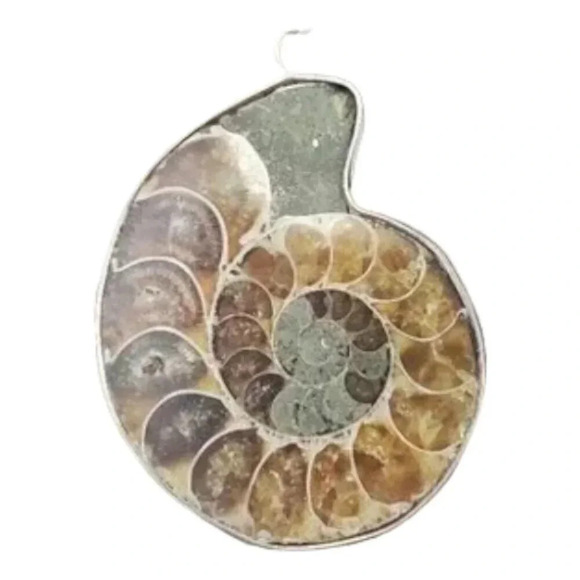 Ammonite Fossil Shell with Silver Plating - Picture 3 of 15